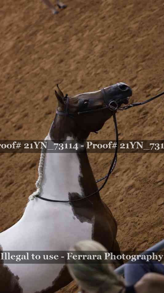 Proof 21YN_73114