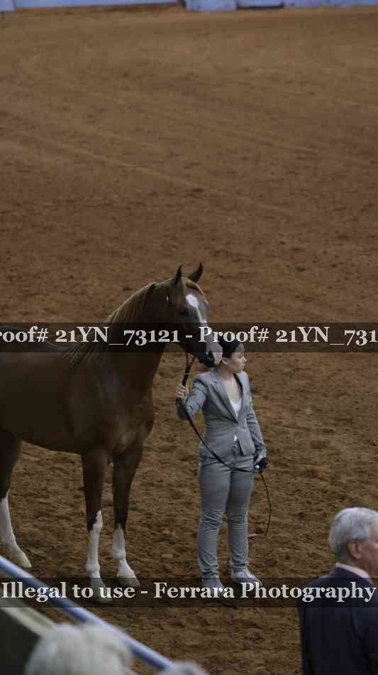 Proof 21YN_73121