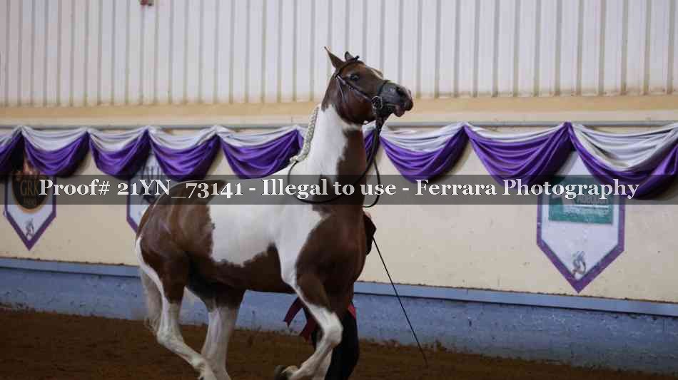 Proof 21YN_73141