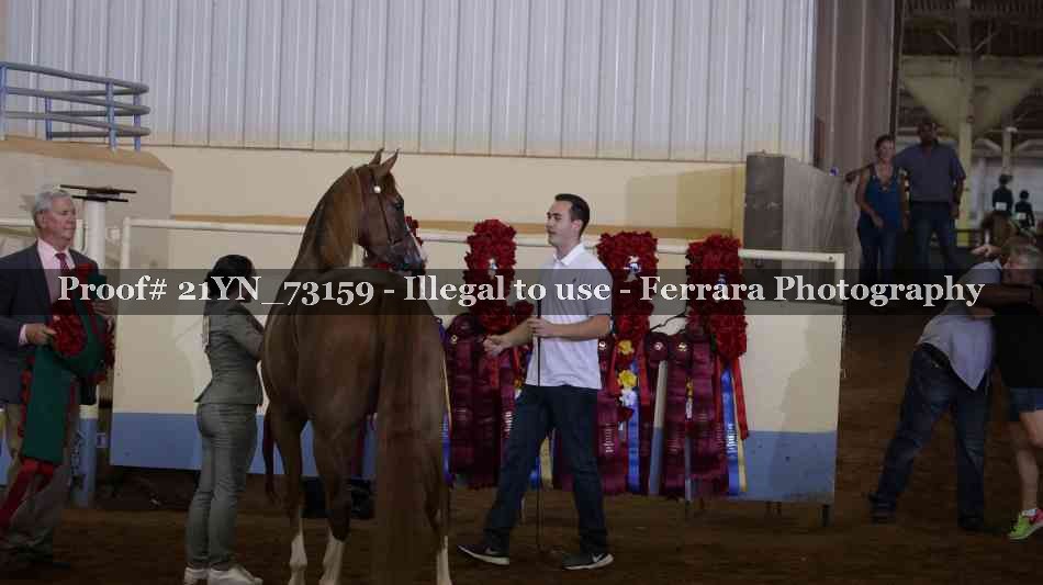 Proof 21YN_73159