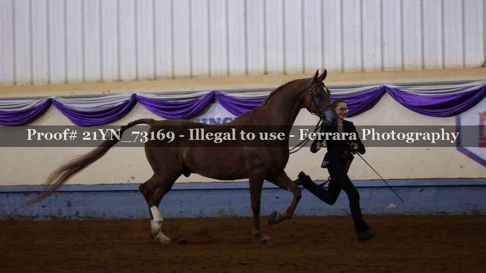 Proof 21YN_73169