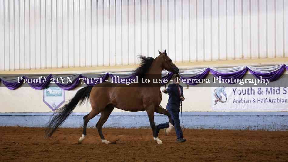 Proof 21YN_73171