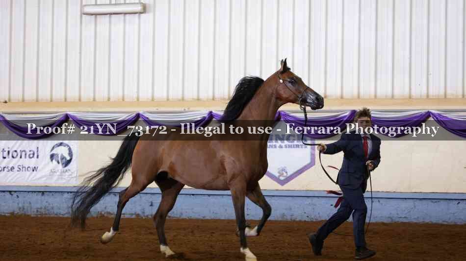 Proof 21YN_73172