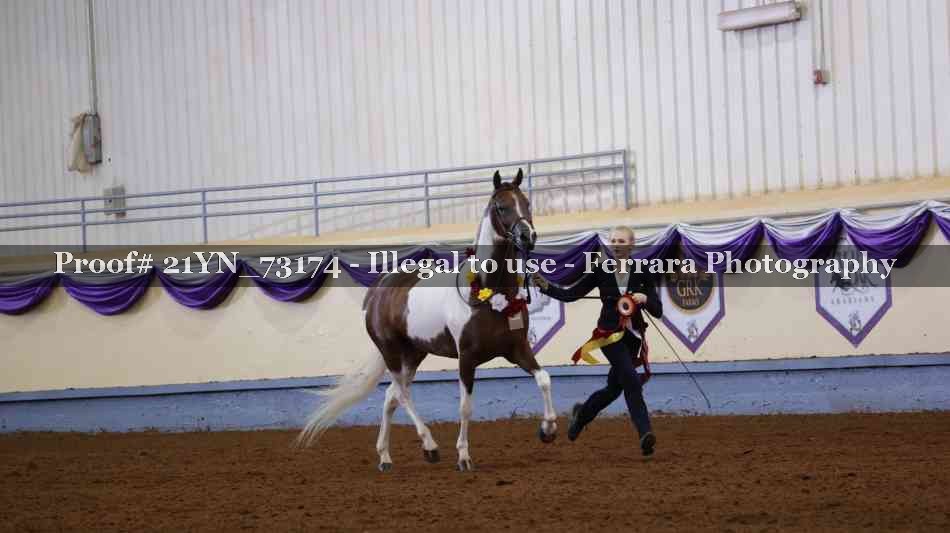 Proof 21YN_73174