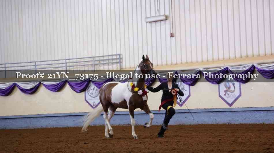 Proof 21YN_73175