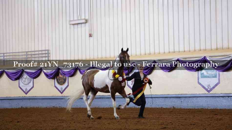 Proof 21YN_73176