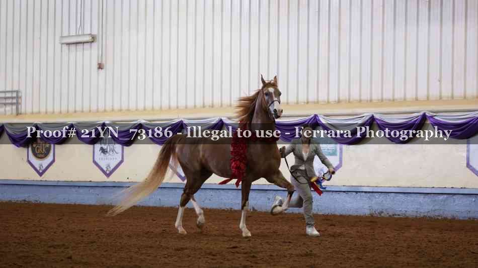 Proof 21YN_73186