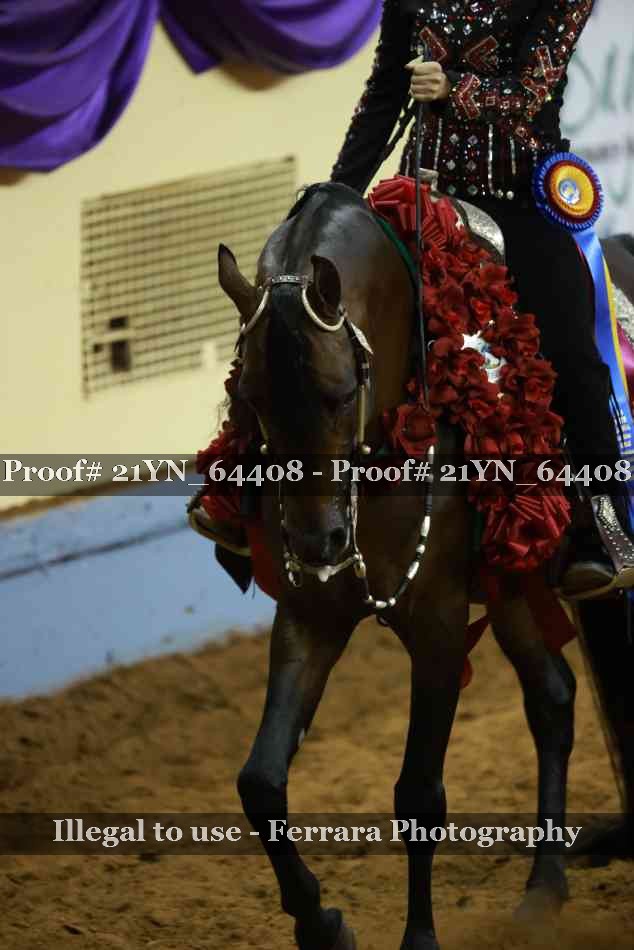 Proof 21YN_64408