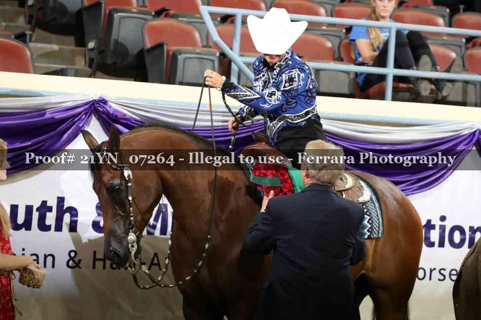 Proof 21YN_07264