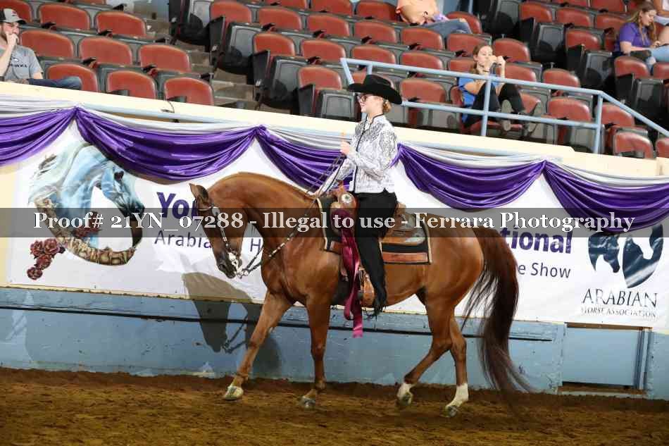 Proof 21YN_07288