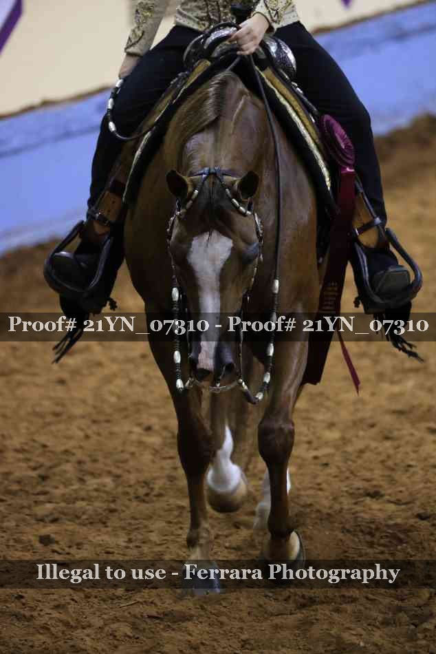 Proof 21YN_07310