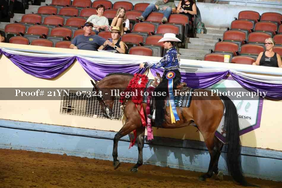 Proof 21YN_07324