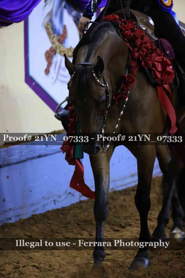 Proof 21YN_07333