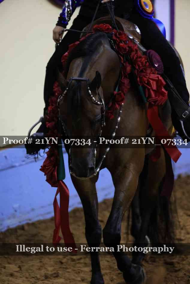 Proof 21YN_07334