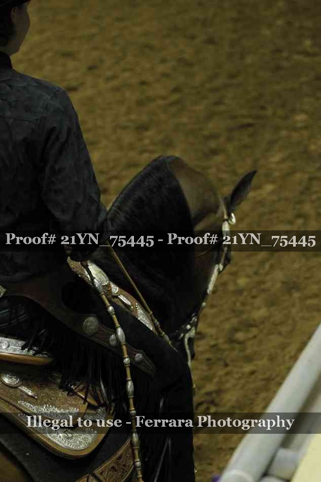 Proof 21YN_75445