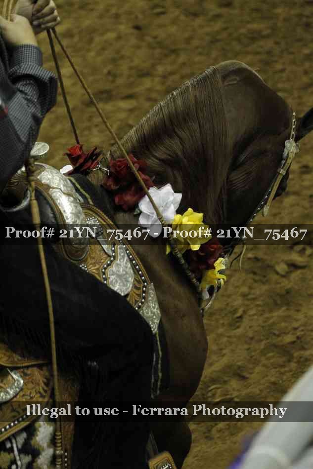Proof 21YN_75467