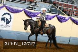 21YN_12717 proof