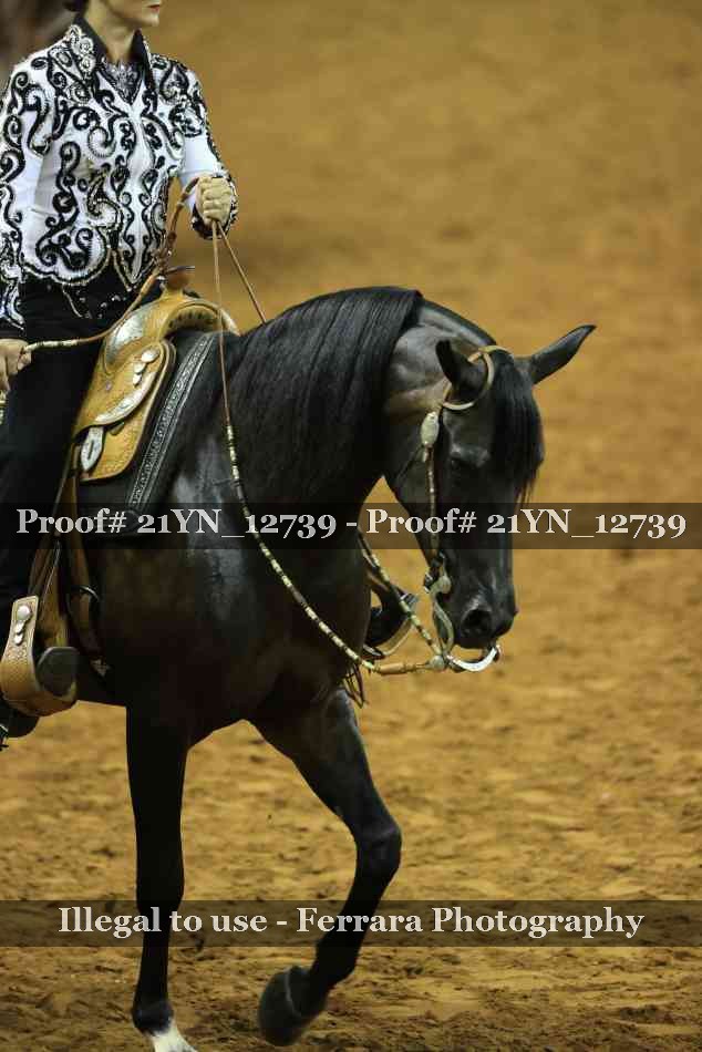 Proof 21YN_12739