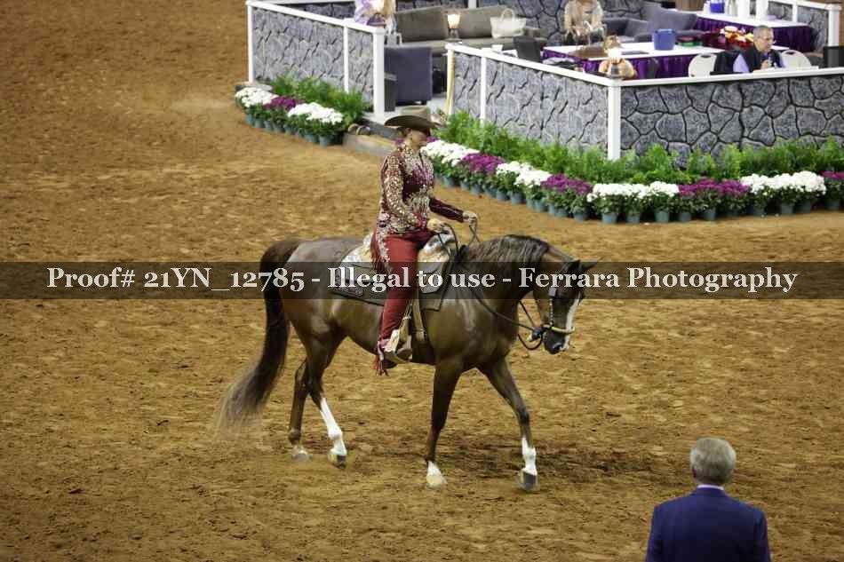 Proof 21YN_12785