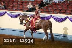 21YN_12934 proof