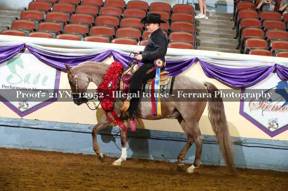 Proof 21YN_12952