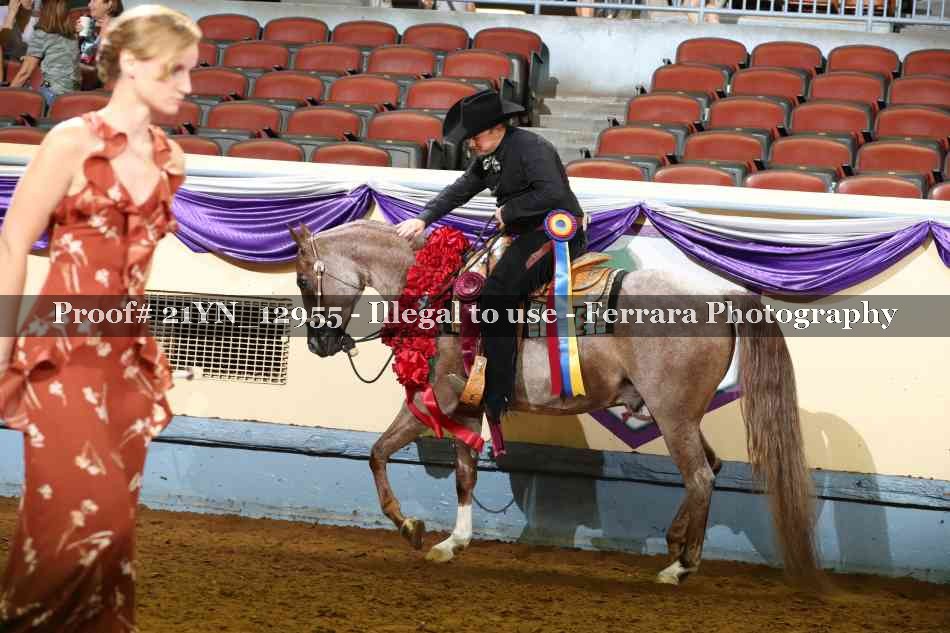 Proof 21YN_12955