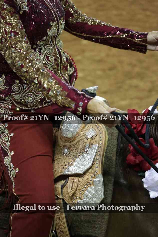 Proof 21YN_12956