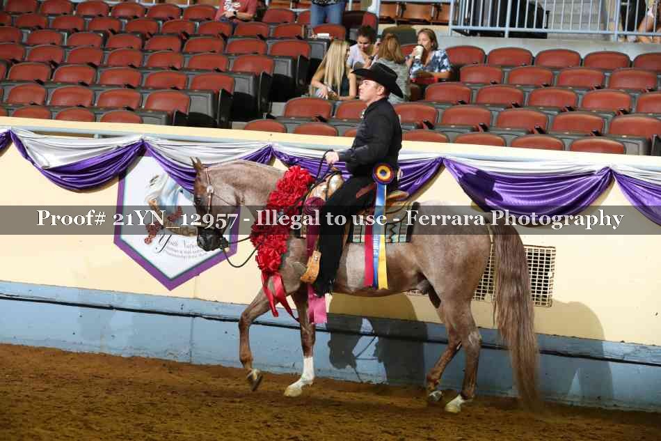 Proof 21YN_12957