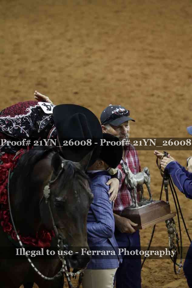 Proof 21YN_26008