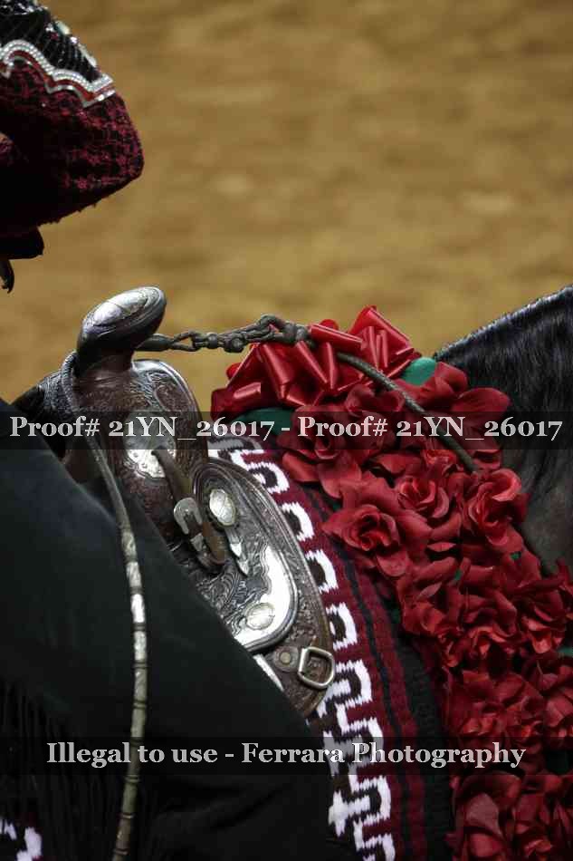 Proof 21YN_26017