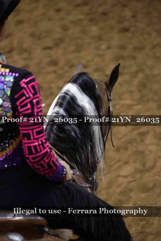Proof 21YN_26035