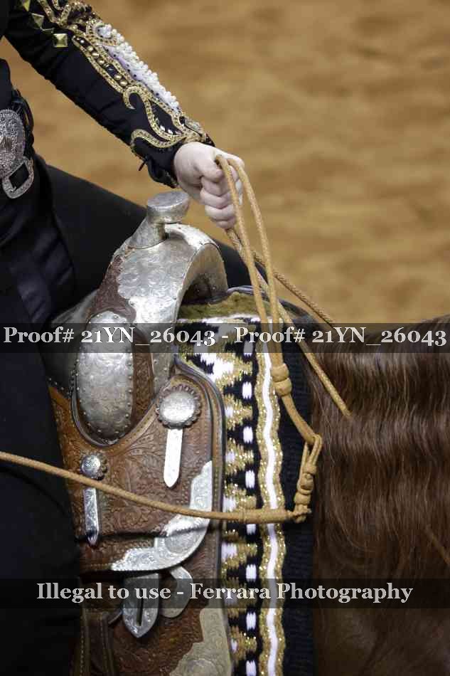 Proof 21YN_26043