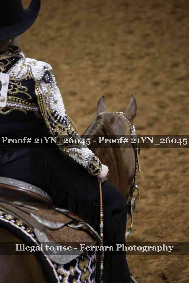 Proof 21YN_26045