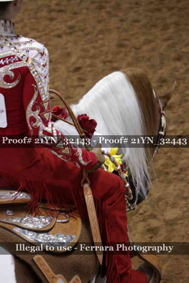 Proof 21YN_32443