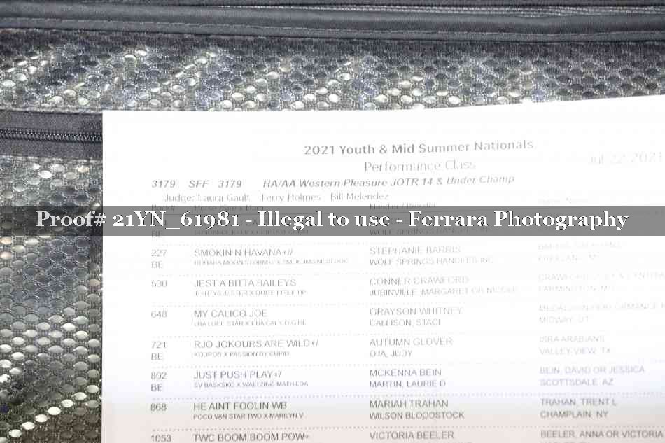 Proof 21YN_61981