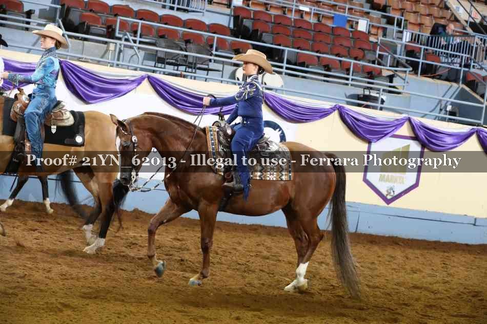 Proof 21YN_62013