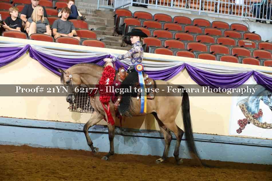 Proof 21YN_62177
