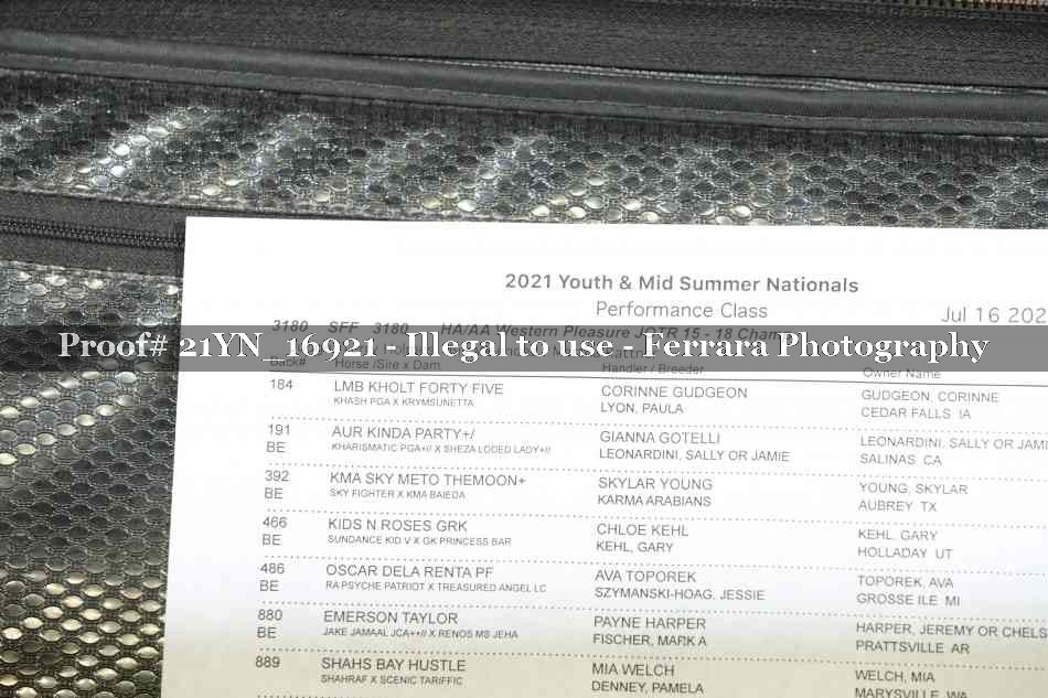 Proof 21YN_16921