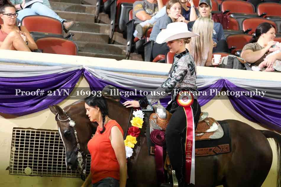 Proof 21YN_16993
