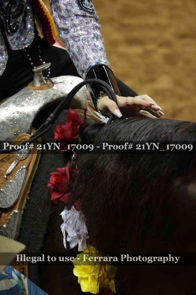 Proof 21YN_17009