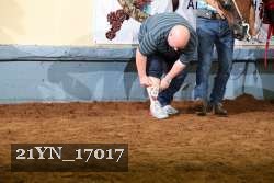 21YN_17017 proof