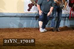 21YN_17018 proof