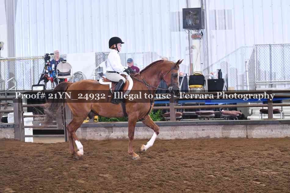 Proof 21YN_24932