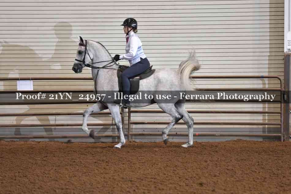 Proof 21YN_24957