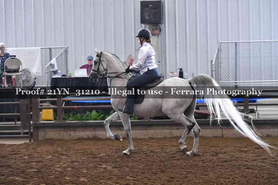 Proof 21YN_31210
