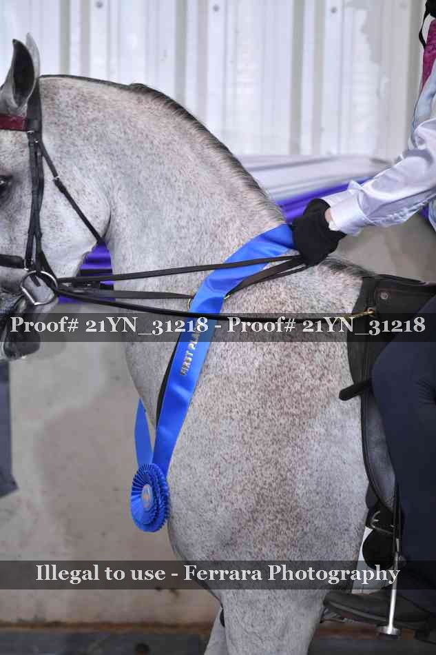 Proof 21YN_31218