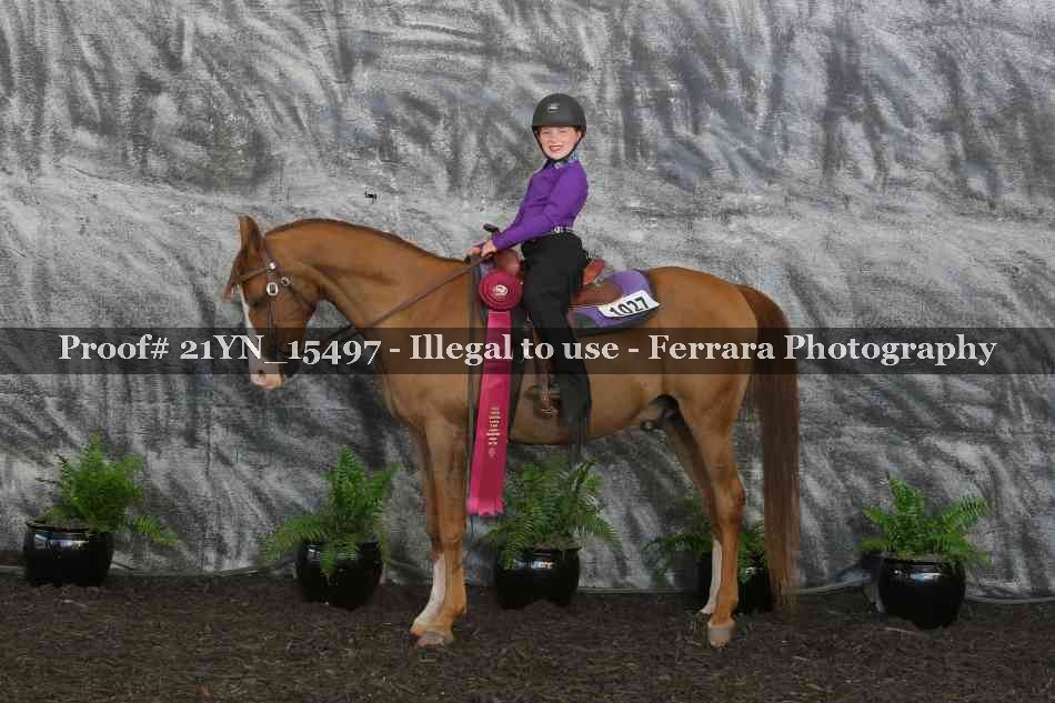Proof 21YN_15497