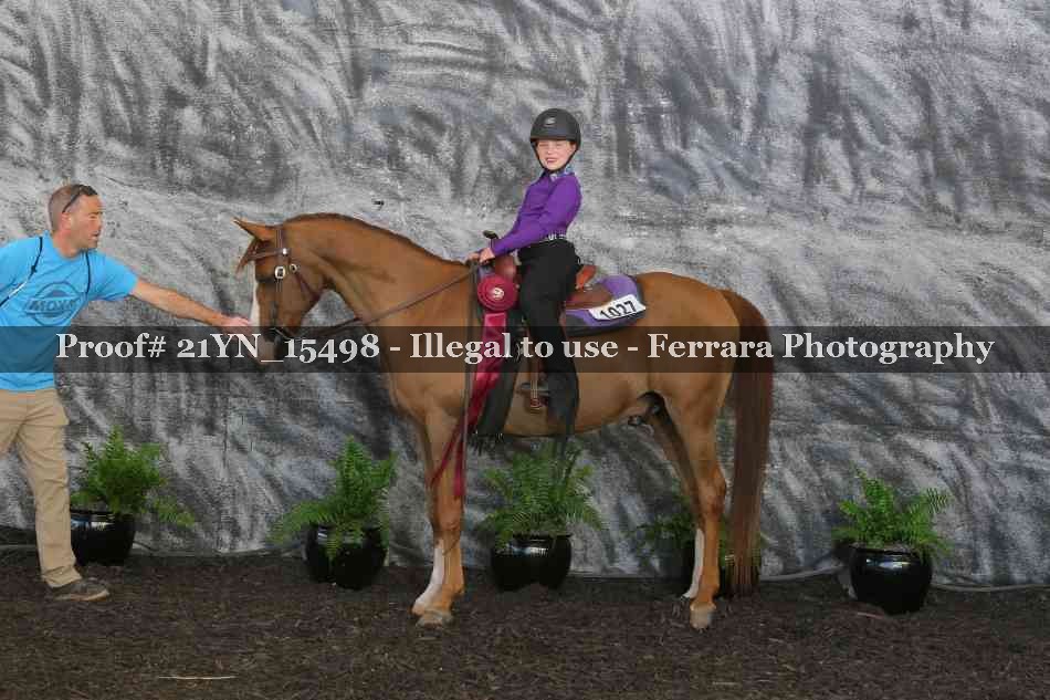 Proof 21YN_15498