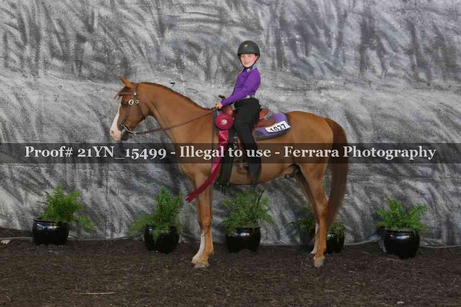 Proof 21YN_15499