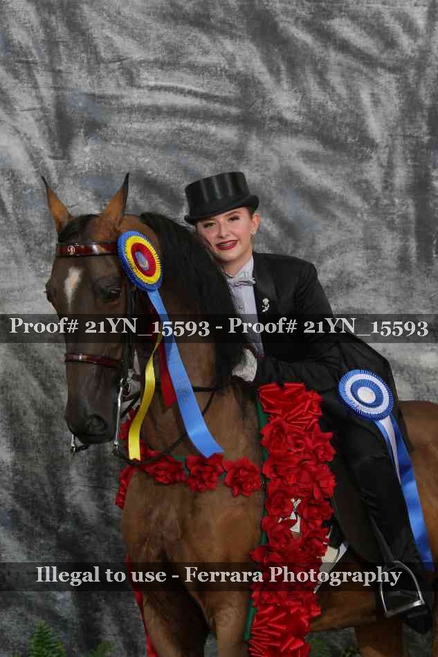 Proof 21YN_15593